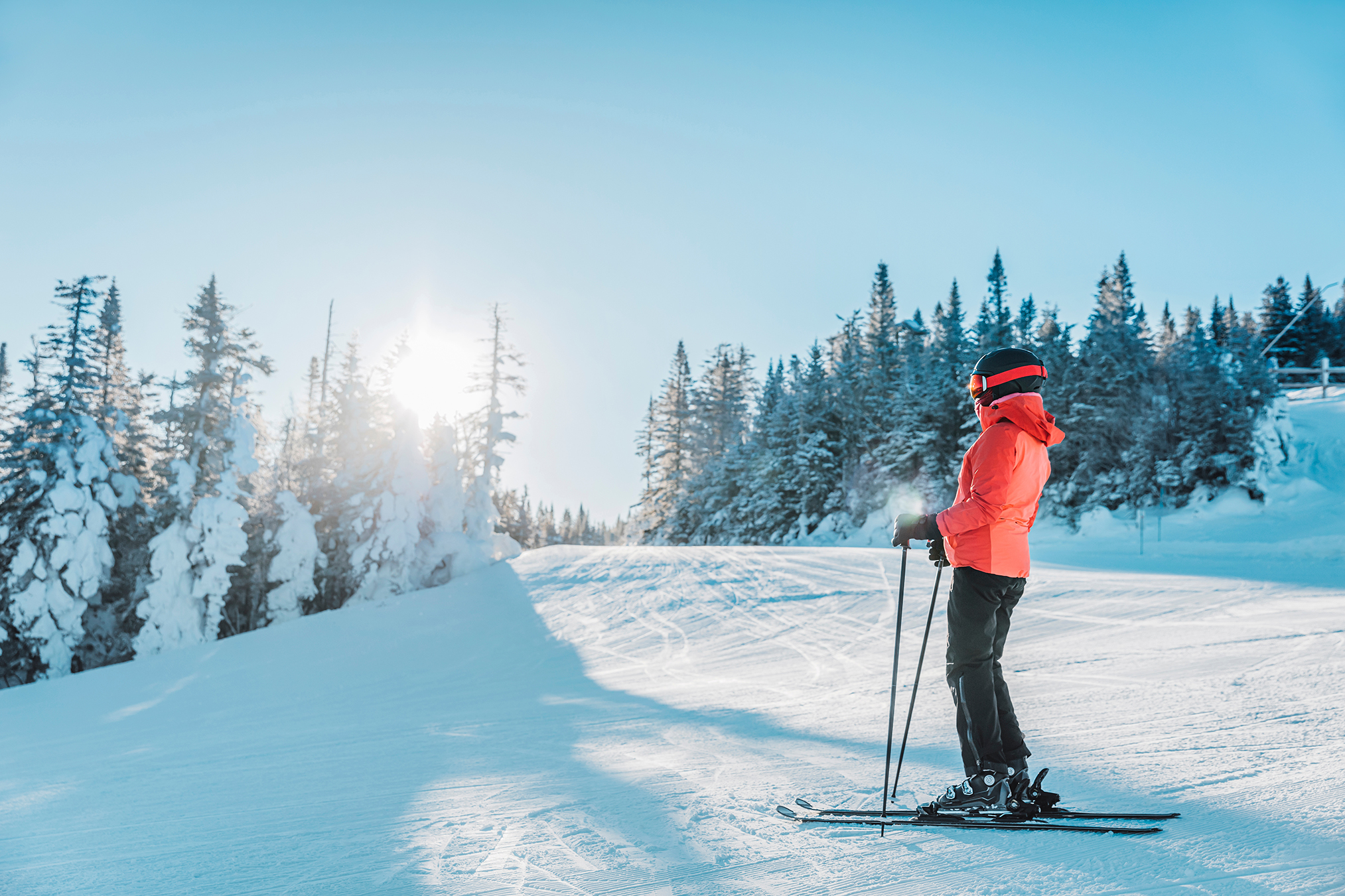 Alpine,downhill,skiing.,ski,portrait,of,woman,alpine,skier,wearing